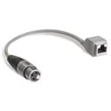 Studiohub ADAPT-XLRFS RJ45 to Single Female XLR Adapter