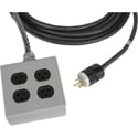 Laird Stage Systems Heavy Duty 20-Amp 12/3 AC Power Extension Cord w/ Quad Box - 100 Foot