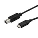 StarTech USB2CB3M USB-C to USB-B Printer Cable M/M 3 Meter (10 ft) - USB 2.0