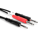 Photo of 1/4-Inch TRS Male to Two 1/4-Inch Mono Male 2m Insert Cable