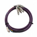 Switchcraft DB25M10XLRF DB25 TO 8-XLR Female (Tascam Pinout) - 10FT.