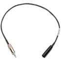 Sescom Audio Cable Premium Quality 4-Pin Mini XLR Male to 3.5mm TRS Balanced Male - 1.5 foot