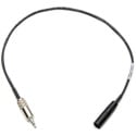 Photo of Sescom TA4M-MPS-10 Audio Cable Premium Quality 4-Pin Mini XLR Male to 3.5mm TRS Balanced Male - 10 Foot