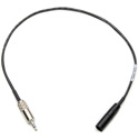 Photo of Sescom TA4M-MPS Audio Cable Premium Quality 4-Pin Mini XLR Male to 3.5mm TRS Balanced Male - 10 Foot
