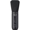 Photo of Tascam TM-250U USB Condenser Microphone