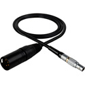 Photo of Laird TD-PWR3-1 Lemo 2-Pin Male to 4-Pin XLR Male Teradek Power Cable - 1 Foot