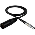 Laird TD-PWR3-1 Lemo 2-Pin Male to 4-Pin XLR Male Teradek Power Cable - 1 Foot