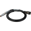 Laird TD-PWR9-02 Teradek Power Cable 12V DC D-Tap to Lemo 2-Pin Male - 2 Foot