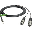 Photo of Connectronics Premium Y-Cable - 3.5 Stereo Male To 2 - XLR  Females -10ft