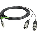Photo of Connectronics Premium Y-Cable - 3.5 Stereo Male To 2 - XLR  Females -6ft