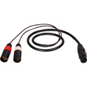 Photo of Connectronics Premium Y-Cable - XLR Female To 2 -XLR Male -3ft
