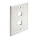 Tripp Lite N042-001-WH 2-Port Dual Outlet RJ45 Universal Keystone Face Plate / Wall Plate White