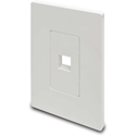 Tripp Lite N080-101 Single Keystone Gang Wall Plate - White