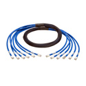 Photo of Tripp Lite N261-010-6MM-BL Augmented Cat6/6a Pre-Terminated Copper Trunk Assembly (6x) RJ45 (M/M) 10 feet