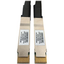 Tripp Lite N282D-01M-BK Passive Twinax Direct-Attach Cable 400G QSFP-DD/QSFP-DD - 1 Meter