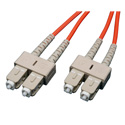 Tripp Lite N306-001 Duplex Multimode 62.5/125 Fiber Patch Cable (SC/SC) 1 Feet