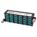 Tripp Lite N484-12LC 10GbE Pass-Through Cassette - (x12) LC Duplex