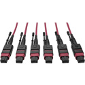 Tripp Lite N858-61M-3X8-MG 24-Fiber MTP MPO OM4 Base-8 MMF Trunk Cable 40/100GbE 3X - 200 Foot (61M)