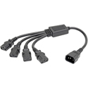 Tripp Lite P004-18N-4XC13 1x4 Splitter Computer Power Cord 10A 18AWG C14 to 4xC13 - Black - 18-Inch