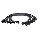 Photo of Tripp Lite P036-002-6 Heavy-Duty Power Extension Cord 20A 12 AWG (IEC-320-C19 to IEC-320-C20) 6-pack 2 Feet
