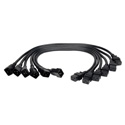 Tripp Lite P036-002-6 Heavy-Duty Power Extension Cord 20A 12 AWG (IEC-320-C19 to IEC-320-C20) 6-pack 2 Feet