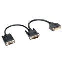 Tripp Lite P564-06N-DV DVI Y Splitter Cable Digital and VGA Monitors (DVI-I M to DVI-D F and HD15 F) 6-in.