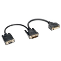 Photo of Tripp Lite P564-06N-DV DVI Y Splitter Cable Digital and VGA Monitors (DVI-I M to DVI-D F and HD15 F) 6-in.