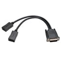 Tripp Lite P576-001-DP DMS-59 to Dual DisplayPort Splitter Y Cable (M to 2xF) 1 Foot