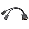 Photo of Tripp Lite P576-001-DP DMS-59 to Dual DisplayPort Splitter Y Cable (M to 2xF) 1 Foot