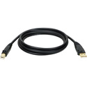 Photo of Tripp Lite U022-010-R 10-ft. USB 2.0 A/B Gold Device Cable (A Male to B Male) in Retail Blister Pack