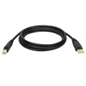 Photo of Tripp Lite U022-010 10-ft. USB 2.0 A/B Gold Device Cable (A Male to B Male) unpackaged