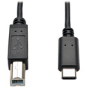 Tripp Lite U040-006 USB 2.0 Hi-Speed Cable USB Type-B Male to USB Type-C (USB-C) Male 6 Feet