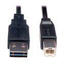Tripp Lite UR022-006 USB 2.0 Reversible A Male to B Male Cable - 6 ft.
