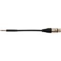 Sescom TT/XF-6IN Patch Cable Bantam TT Male to 3-Pin XLR Female Patchadap - 6 Inch