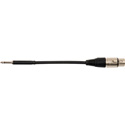Sescom Patch Cable Bantam TT Male to 3-Pin XLR Female Patchadap - 6 Inch