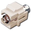 Photo of Vanco 820473 Keystone Insert BNC Jack to BNC Jack- Ivory