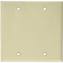 Photo of Blank Ivory Lexan Double Gang Wall Plate