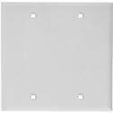 Photo of Blank White Lexan Double Gang Wall Plate