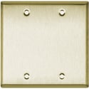 Photo of Blank Brass Double Gang Wall Plate