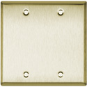 Photo of Blank Brass Double Gang Wall Plate