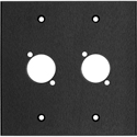 Photo of My Custom Shop WP2X2-BA 2-Gang Black Anodized Aluminum Wall Plate with 2 D Series Style Cutouts