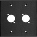 Photo of My Custom Shop 2-Gang Black Anodized Aluminum Wall Plate with 2 D Series Style Cutouts