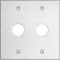 Photo of My Custom Shop 2-Gang Clear Anodized Aluminum Wall Plate with 2 D Series Style Cutouts