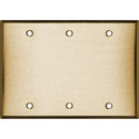 Photo of BlankTriple Gang Brass Wall Plate