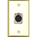 Photo of My Custom Shop WPBR-1115 1-Gang Brass Wall Plate w/ 1 Neutrik 3-Pin XLR Female Connector