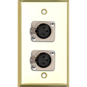 Photo of My Custom Shop WPBR-1116 1-Gang Brass Wall Plate w/ 2 3-Pin Female XLRs-Terminal Block