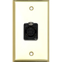 Photo of My Custom Shop 1-Gang Brass Wall Plate w/ 1 5-Pin XLR DMX Connector