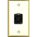 Photo of My Custom Shop WPBR-1178 1-Gang Brass Wall Plate w/ 1 5-Pin XLR DMX Connector