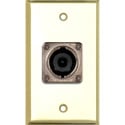 Photo of My Custom Shop WPBR-1202 1-Gang Brass Wall Plate w/ 1 Neutrik NL8MPR 8 Pole speakON Connector