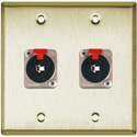 Photo of My Custom Shop 2-Gang Brass Wall Plate w/ 2 - Neutrik NJ3FP6C Stereo 1/4 Latching Jacks